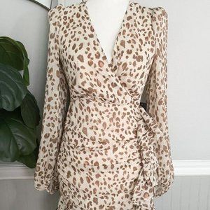 Express Animal Print Dress